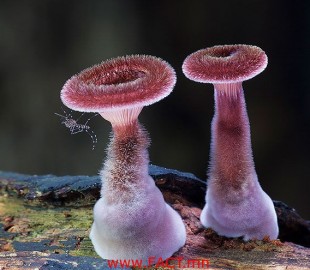 3ff14e3f89cf5162original