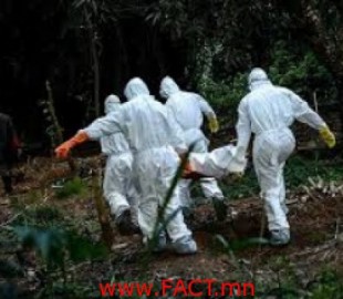 527-14204209627bee646ce285abf9593ffea69b3df257_L