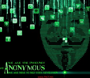 817c1d2bf14d98b1original