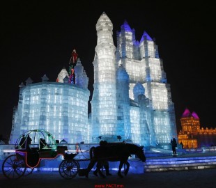 cd74492b7679edb3original