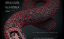 ebola-virus-big