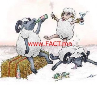 10950699_912706608760962_9185097602147572372_n