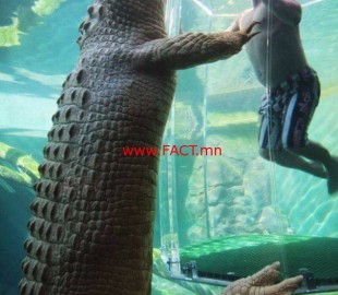 11000588_664481547040437_180284407731510586_n