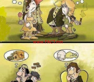 1405399256_1476191_621277537933735_284073191_n