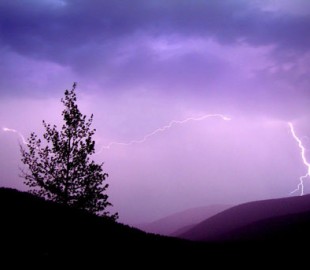 9d34ddd6-6b43-44ab-bfbe-f6121bcdc716