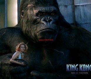 king-kong_04