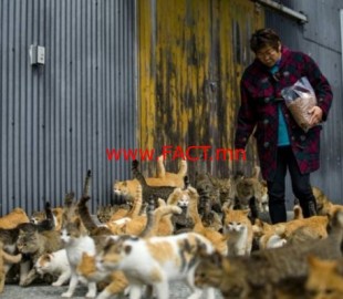 11081404_409993789160141_454443317_n-600x399