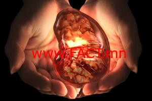 32_117d9f5d79b5c647207bfbdf5c90873801cf0abc