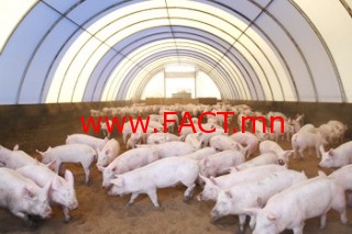 750ea6c4c44e2b2ecea133c004a24afa_L