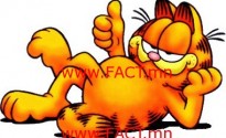 cartoon-cats-7