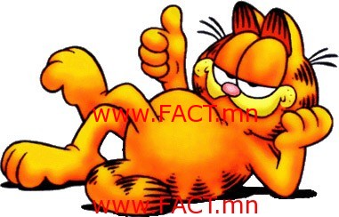 cartoon-cats-7