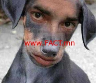 funny_dog_man_picture