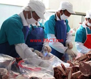 p19fjoou2oa5uh3uehnnd8b1a1