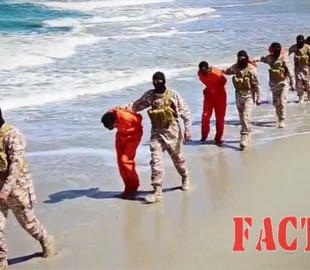 4enpkf239dks6tck499cvci7bv