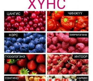 c8ec8de96f82517doriginal