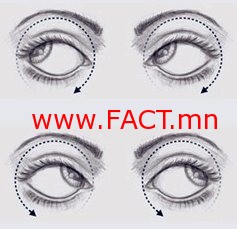 f1ccc31364dc3485original