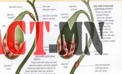 0ae02cb2fee15ff0125f85699e30c3f541d283b4