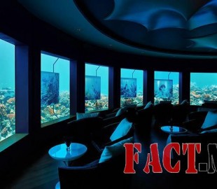 11269869_10153168546602034_2093294387_n