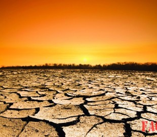 163071-27052015-1432714095-307947246-1