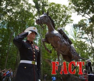 3e55710341902038fb39e2e3071085b2