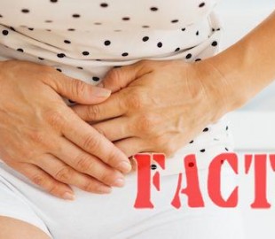 5549ab8be9b1d8.18836372