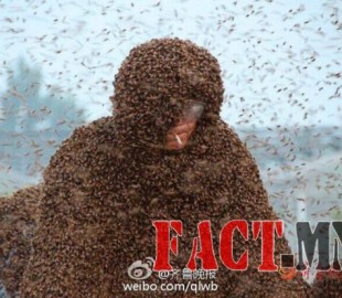 8ed5a6fb7b41f2f1original2