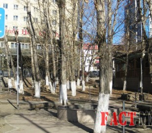 p19mek69md1k707jvbdbj446nc2