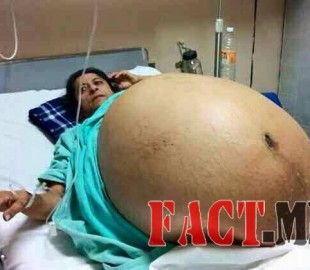 11251893_1140715415947262_7655798176531017829_n