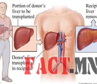 14334622775570e6059f454