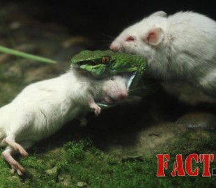 482449_456825964386931_1830623418_n