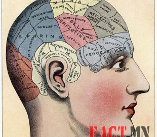 e910e62308e73bcoriginal