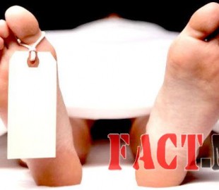 k744vvk5gfq3ajapoovb4ed3c