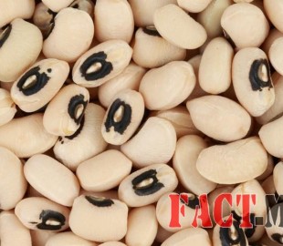 -09092014-1410228220-1793364988