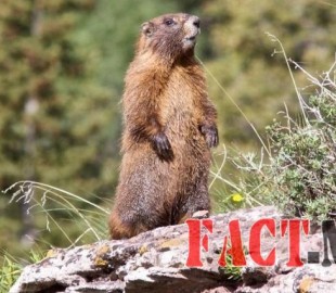 107914555af1e5e2739d91