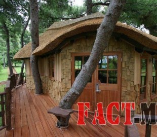 11223647_1058245534185887_8117986987722186040_n920051820201507271056