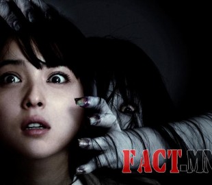 11731514_1452473688387799_478723996_o