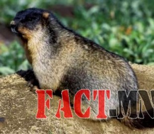 143744187755ad9f556b91d