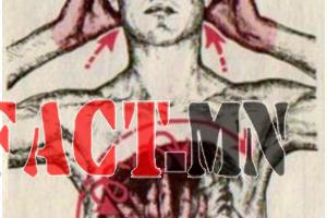 32_4e1fd3031606ddd326c7a91987192fb0b4eed172