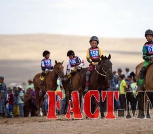 f3b66062524f94f1original