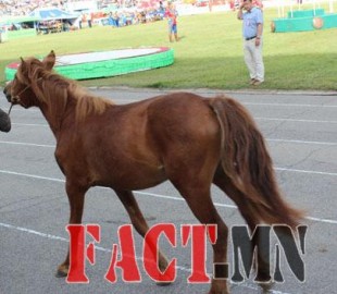 fc21332795cc6ceboriginal