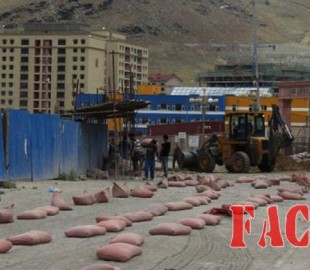 olloo_mn_1436253072_zaisan