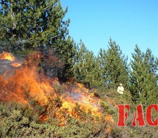 p19po8b0f4ppl1bmcv0v1kp3tmt1