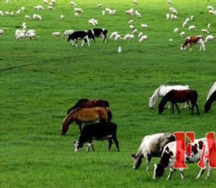 p19rh128c41op8bkqeuirv52k62