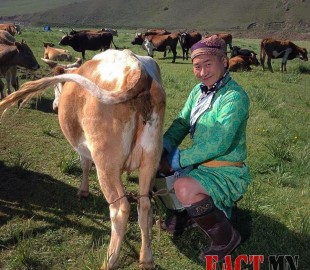 11902324_1614630085456032_3698416785019061697_n555011590201508190828