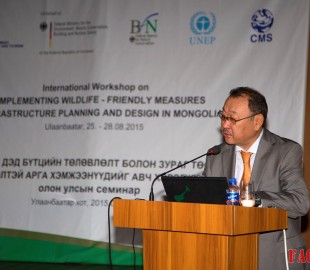 11940570_923287224404252_1358639431_o