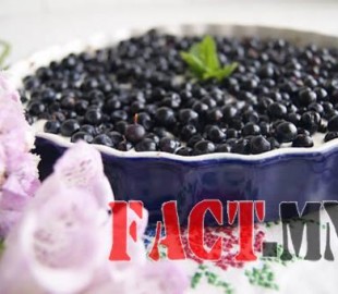 144048092555dbfe9d18c22