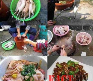 5nksqbr05eggghmadf9qhgv8d2