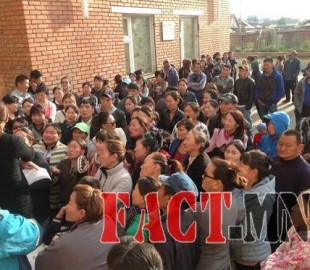 80337631ca35c2aeoriginal