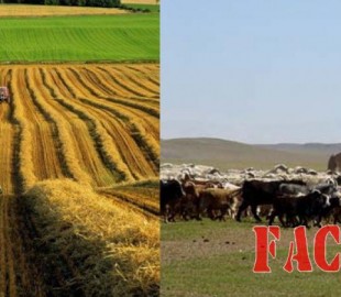 olloo_mn_1427176938_haa01