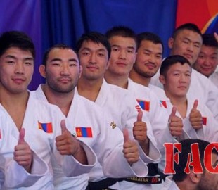 olloo_mn_1440984339_judo